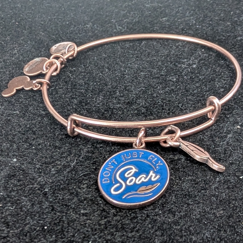 Alex And Ani x Disney Dumbo Expandable Charm Bangle